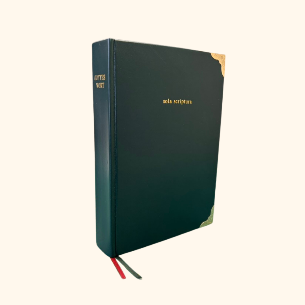 Hardcover BIbelreparatur, Lammleder Biblerebinding Bibelreparatur