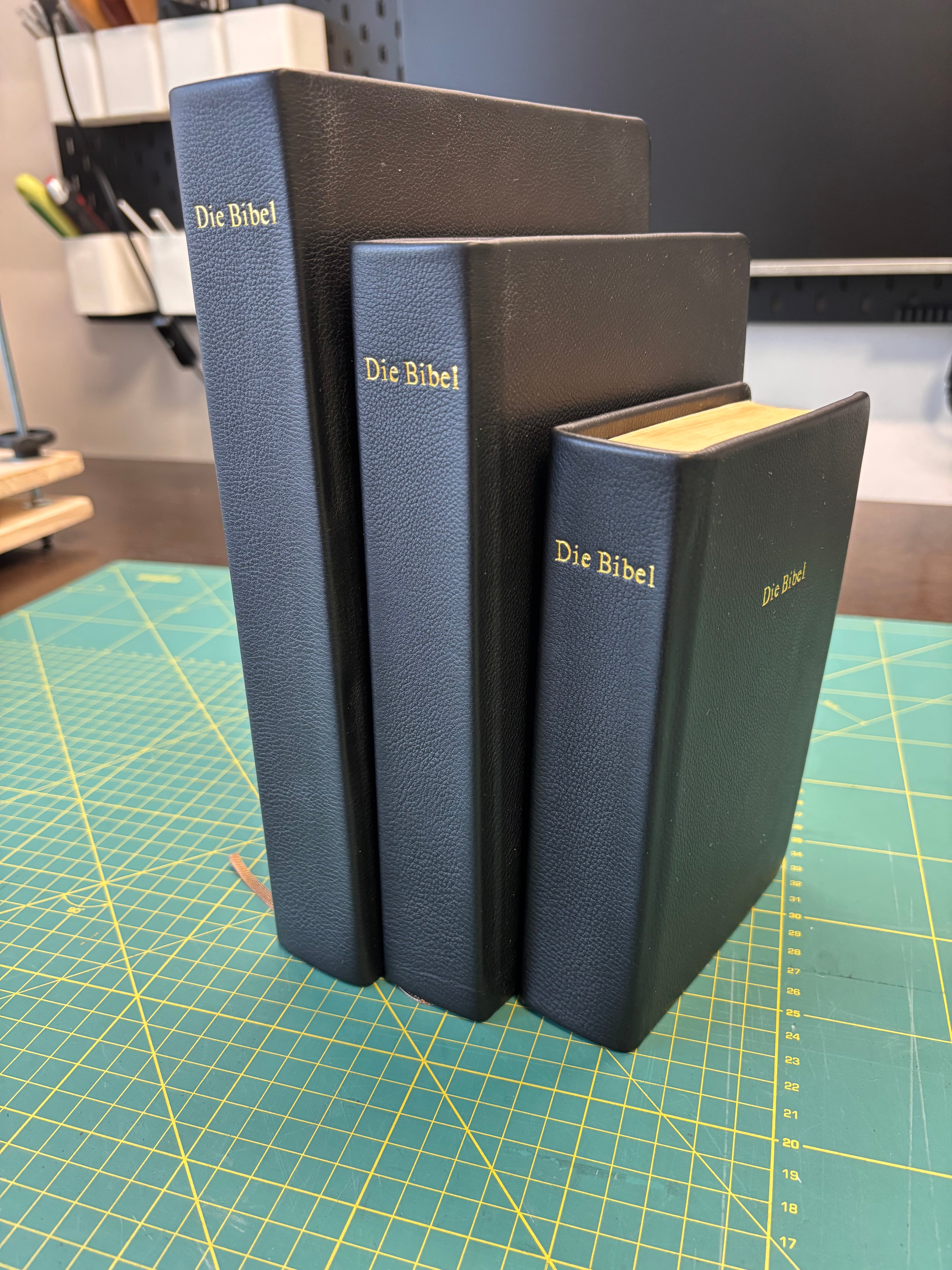 Bibelreparatur Hardcover