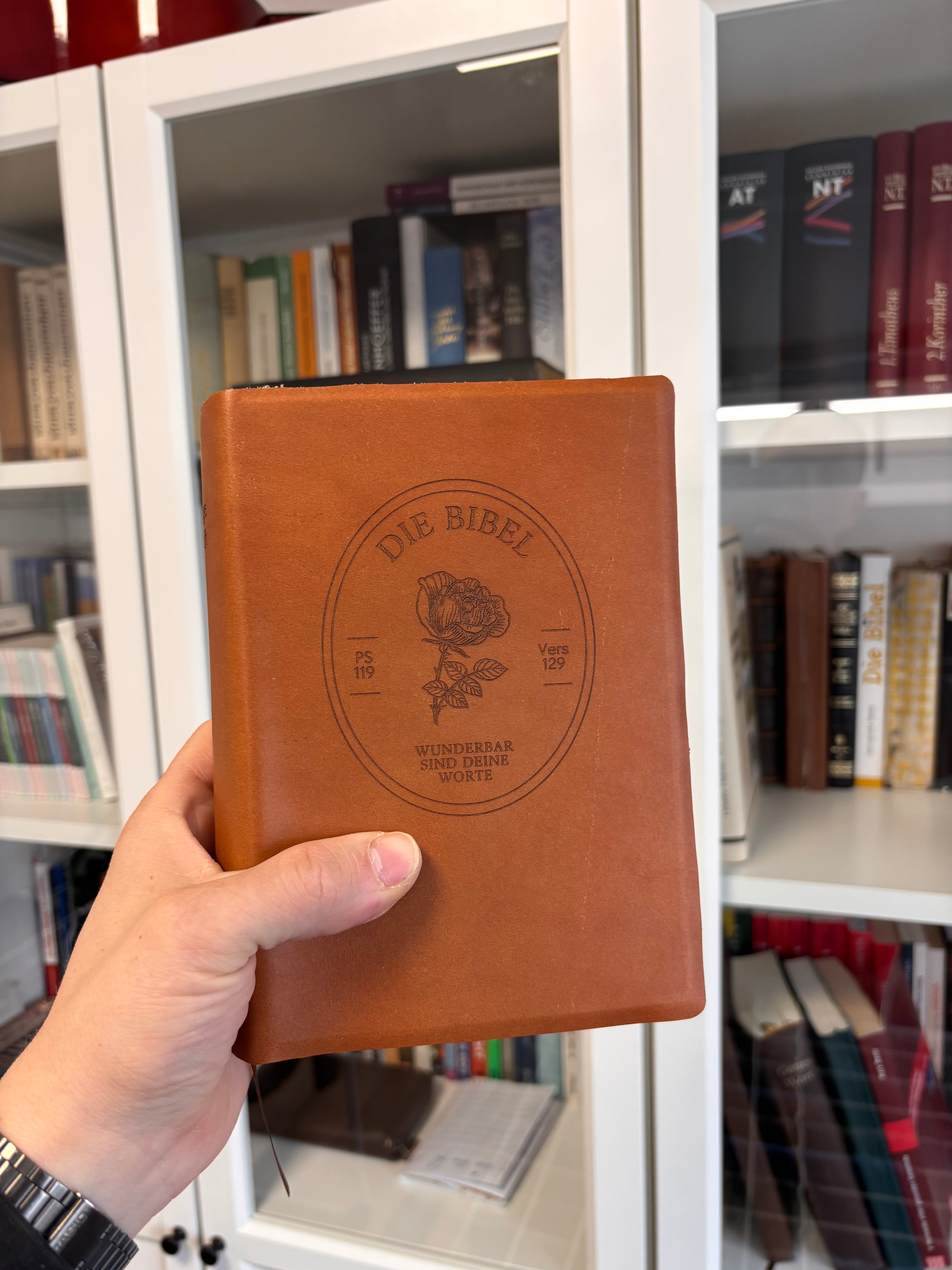 Bibelreparatur Softcover