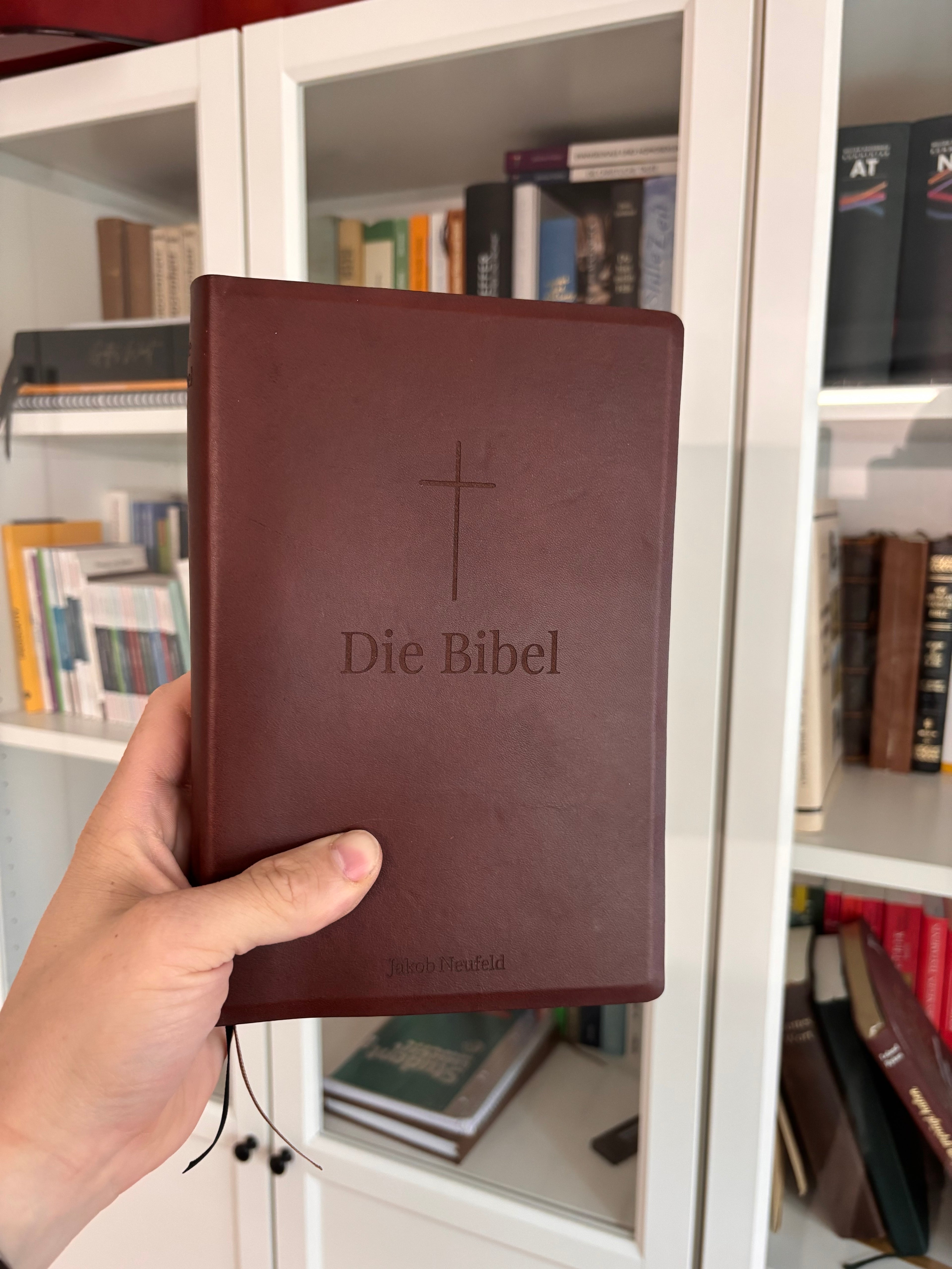 Bibelreparatur Softcover