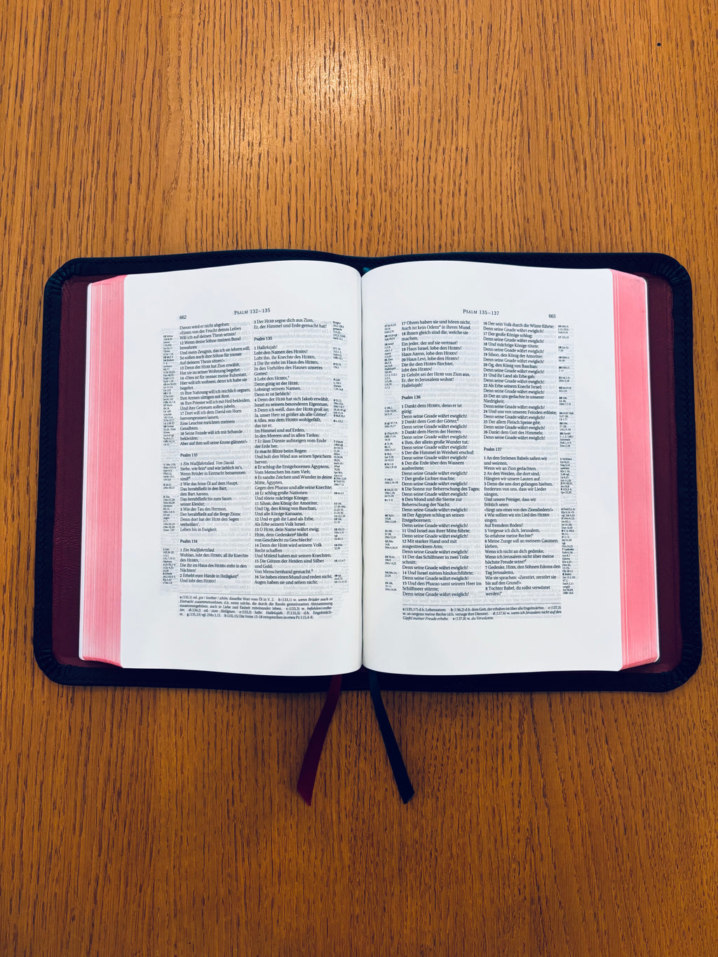 Schlachter 2000 Schreibrand inkl. Parallelstellen -  Premiumbibel