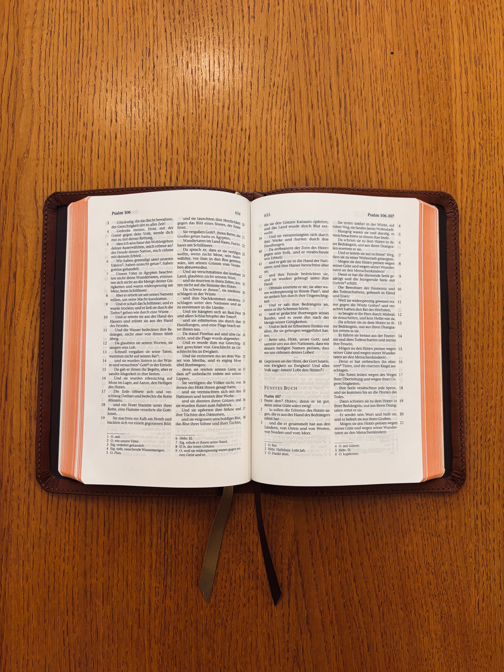 Elberfelder CSV Premiumbibel mit Rotgoldschnitt