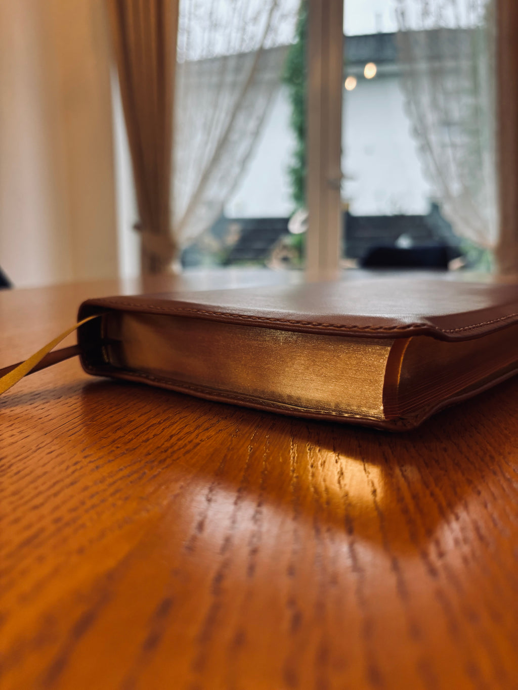 Elberfelder CSV Premiumbibel mit Rotgoldschnitt